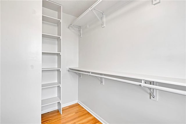 spacious closet featuring wood-type flooring