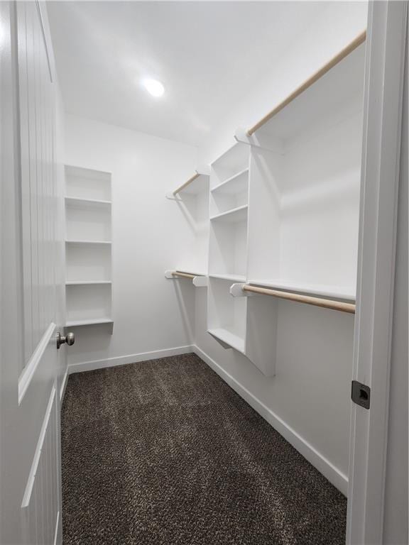 walk in closet with dark colored carpet