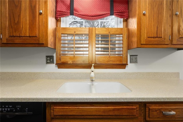 kitchen with sink and dishwasher