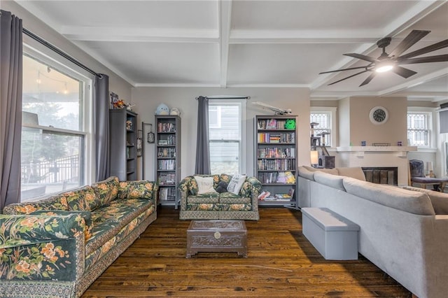 living room with ceiling fan, dark wood-type flooring, coffered ceiling, and beamed ceiling