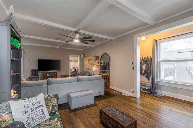 living room with ceiling fan, dark hardwood / wood-style floors, and beam ceiling