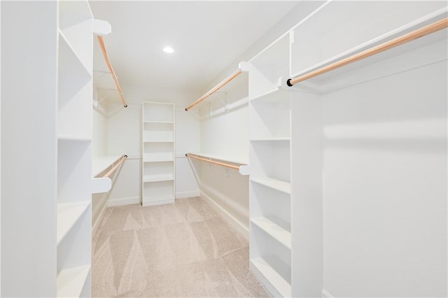 spacious closet with light carpet