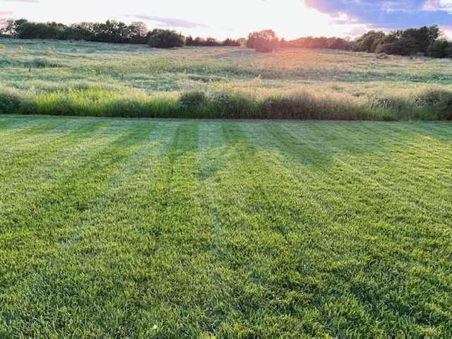 view of yard featuring a rural view