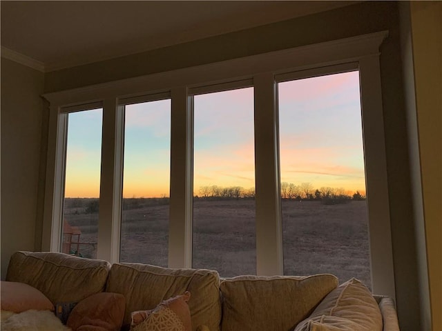 interior space featuring a rural view and ornamental molding