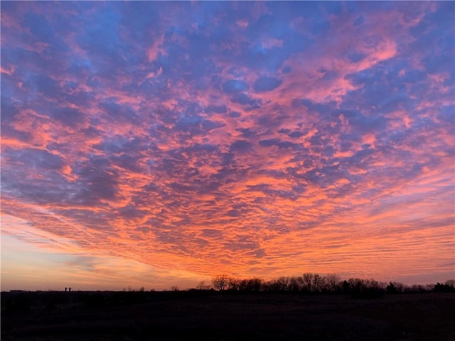 view of nature at dusk