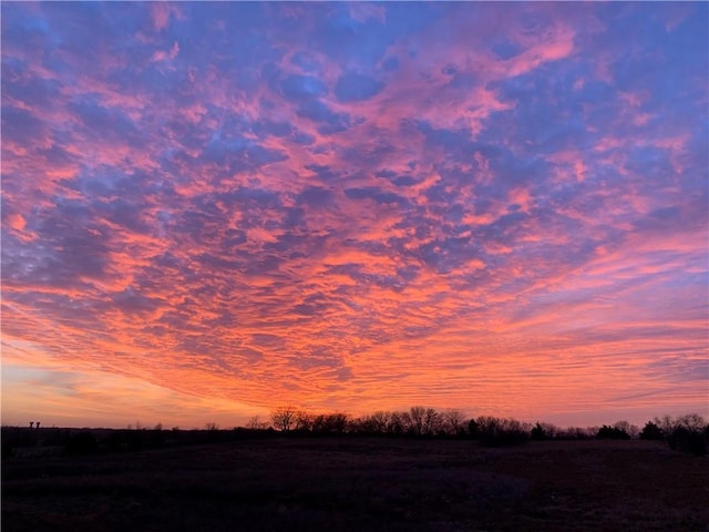 view of nature at dusk