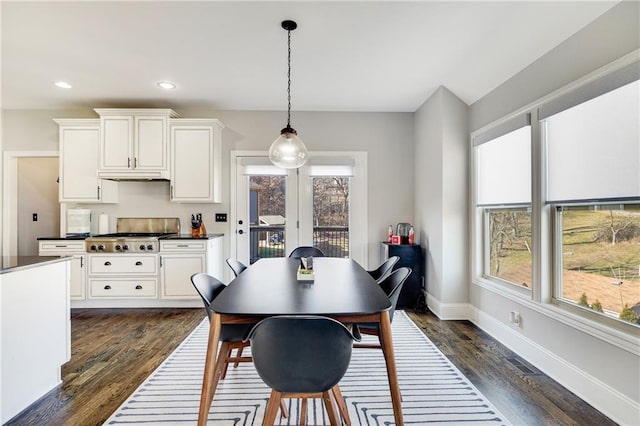 dining space featuring dark hardwood / wood-style floors and french doors