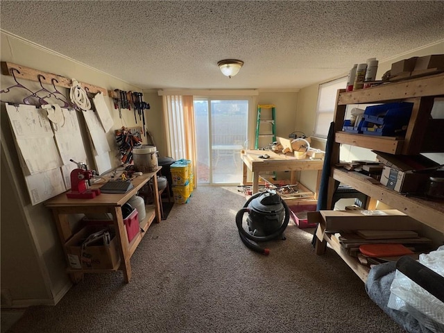 miscellaneous room featuring carpet floors and a textured ceiling