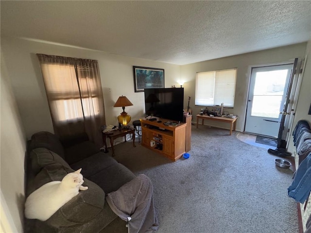 living room with carpet floors and a textured ceiling