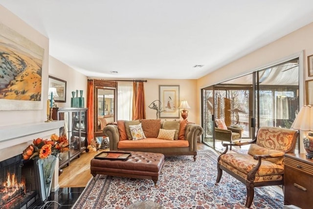 living room with wood-type flooring and a wealth of natural light