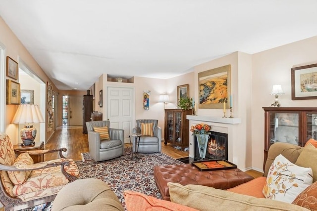 living room featuring wood-type flooring