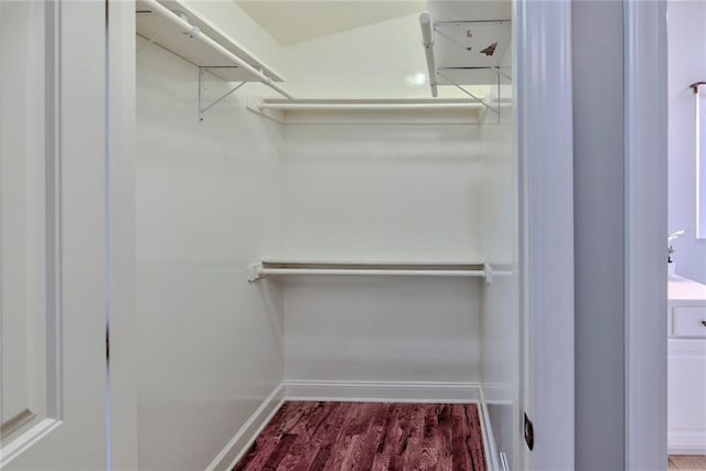 walk in closet with wood-type flooring