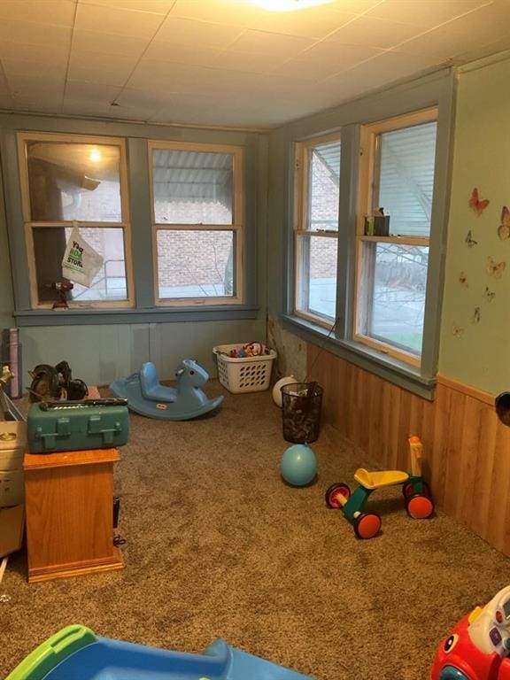 recreation room featuring carpet flooring