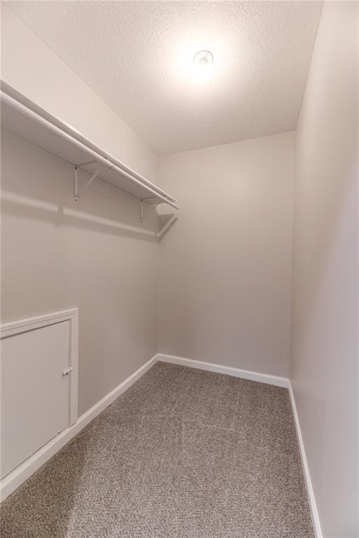 walk in closet featuring carpet floors