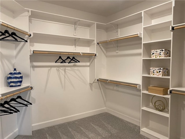 spacious closet with carpet flooring