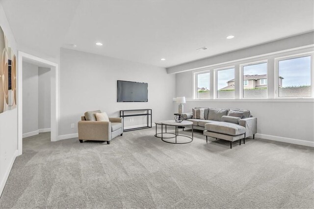 3208 NE 102nd St, Kansas City, MO 64155 - photo 29