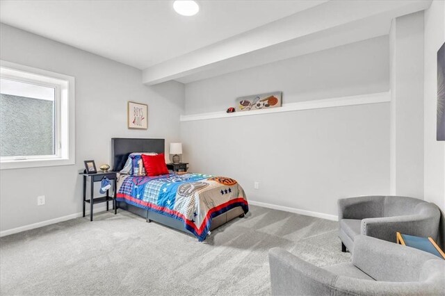 3208 NE 102nd St, Kansas City, MO 64155 - photo 34