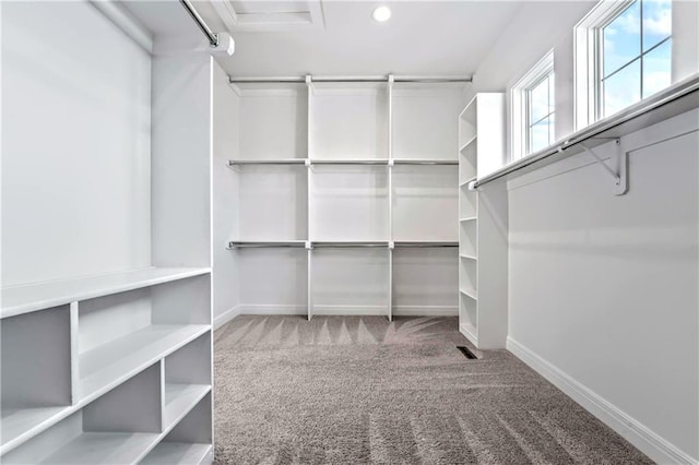 spacious closet with light colored carpet