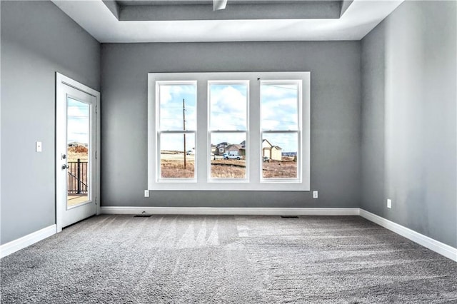 unfurnished room with a tray ceiling and carpet