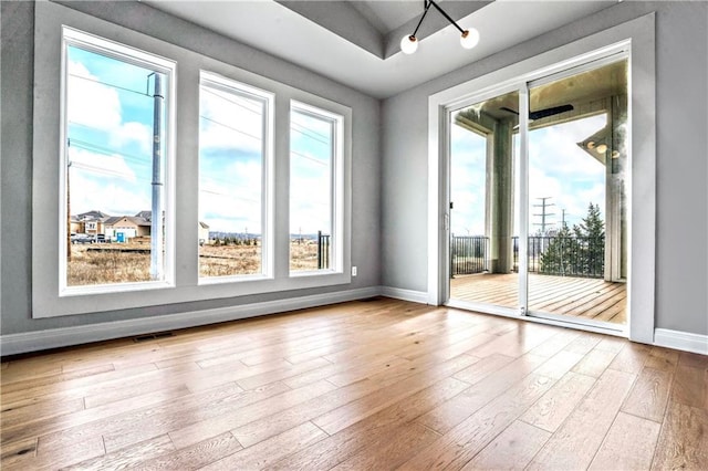 entryway featuring plenty of natural light and light hardwood / wood-style flooring