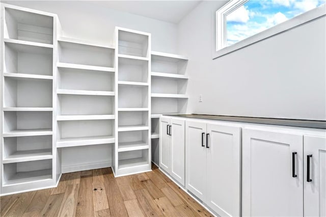 walk in closet with light wood-type flooring