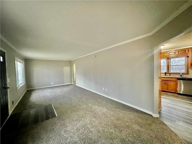 empty room with plenty of natural light, sink, and ornamental molding