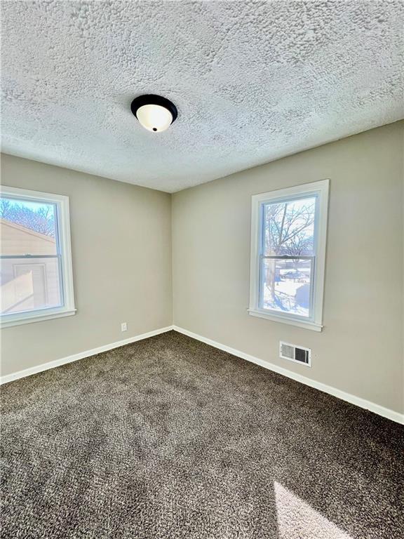 spare room with carpet and a textured ceiling