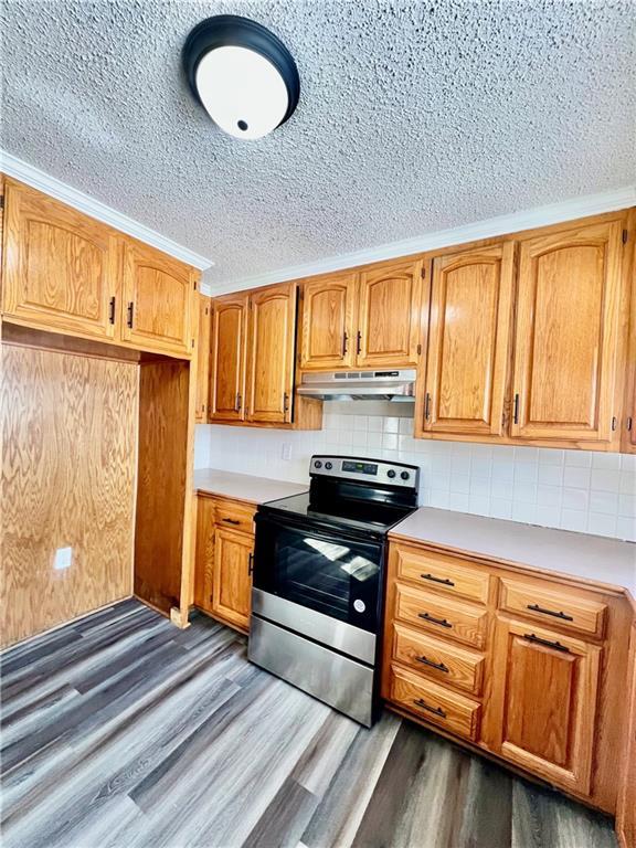 kitchen featuring decorative backsplash, stainless steel electric range oven, dark wood-type flooring, a textured ceiling, and ornamental molding