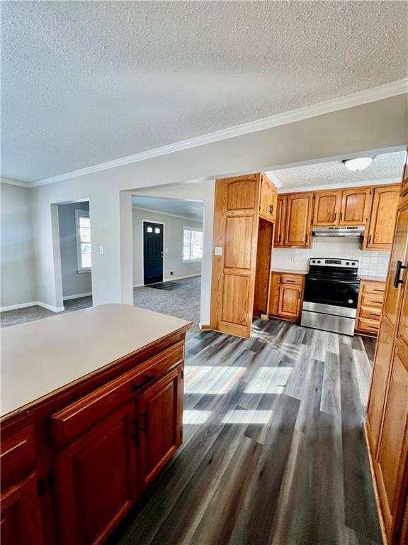 kitchen featuring stainless steel range with electric stovetop, decorative backsplash, dark hardwood / wood-style floors, a textured ceiling, and ornamental molding