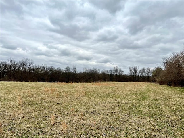 LOT2 Wells St, Odessa, MO 64076 - photo 1