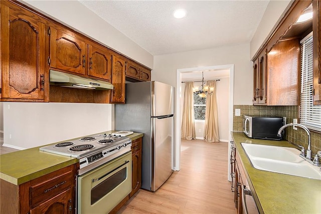 kitchen featuring a healthy amount of sunlight, stainless steel appliances, light hardwood / wood-style floors, and sink