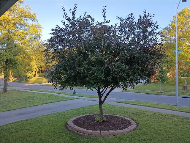 view of community with a yard