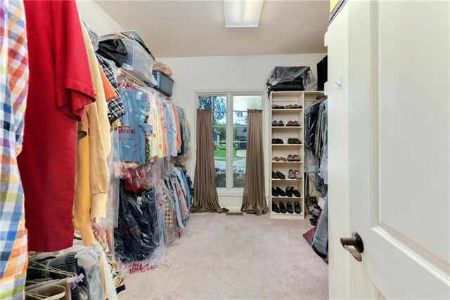 walk in closet featuring carpet