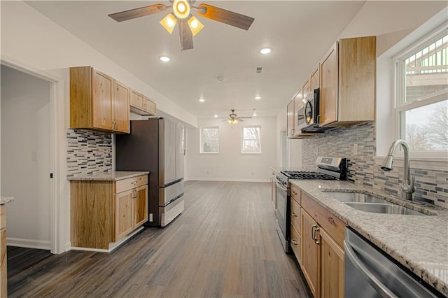 kitchen featuring a wealth of natural light, sink, appliances with stainless steel finishes, and dark wood-type flooring