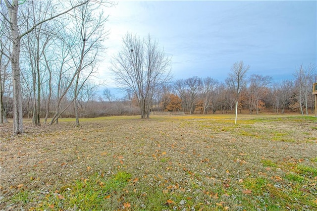 view of yard with a rural view