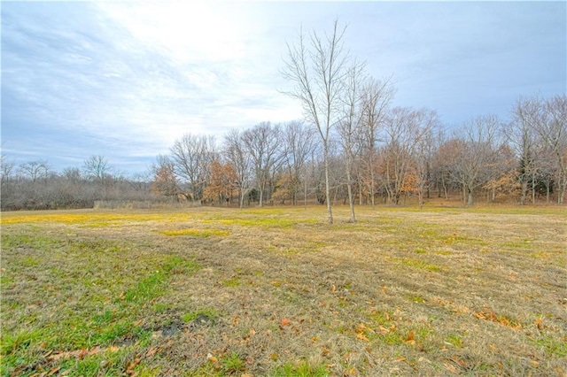 view of yard featuring a rural view