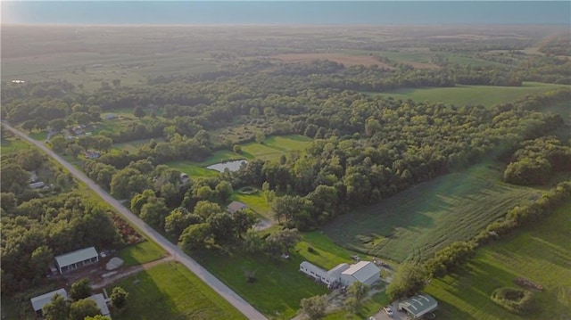 drone / aerial view featuring a rural view