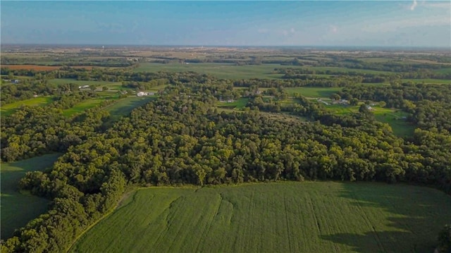 birds eye view of property featuring a rural view