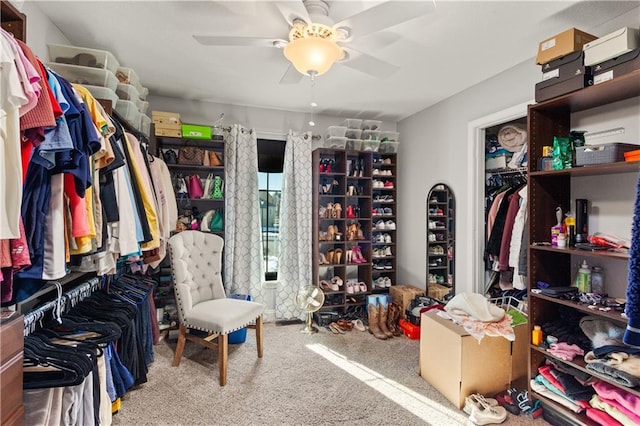 spacious closet with carpet floors and ceiling fan