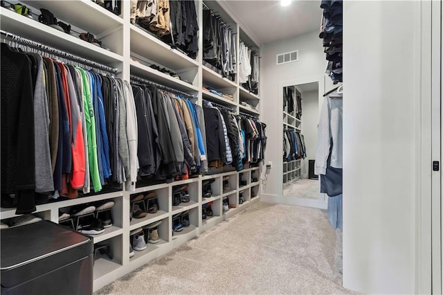 spacious closet featuring carpet floors