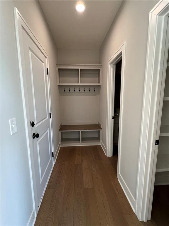 mudroom with dark wood-type flooring