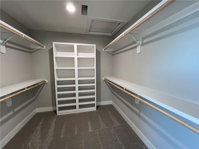 spacious closet featuring dark carpet