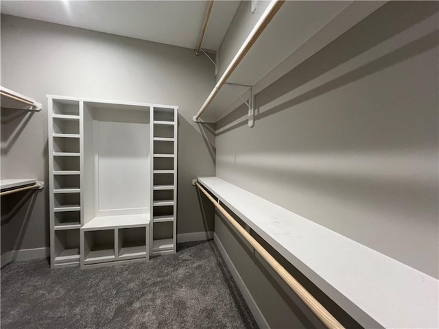 spacious closet with dark carpet