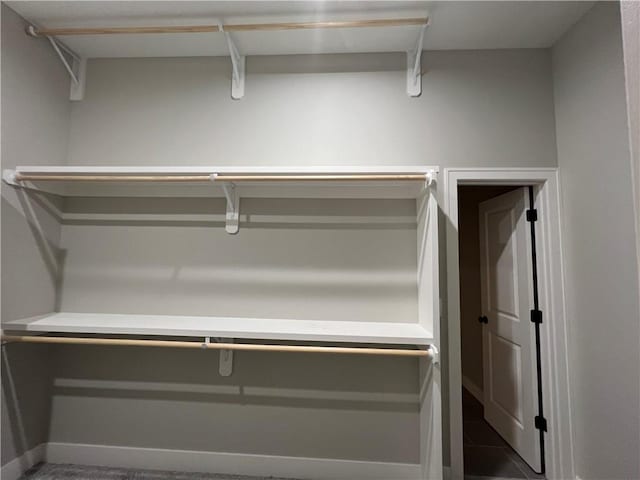 view of walk in closet