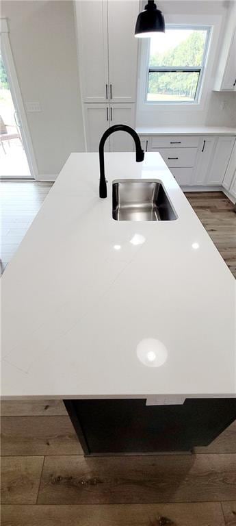 interior details featuring white cabinetry, sink, and hardwood / wood-style flooring