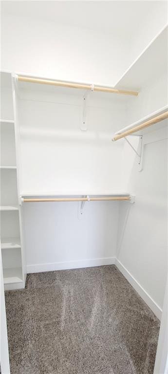 spacious closet featuring carpet floors