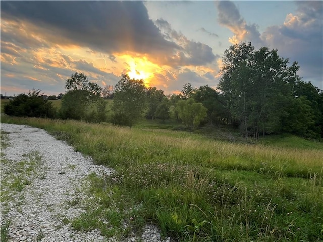 20573 Coon Branch Rd, Lawson, MO 64062 - photo 3