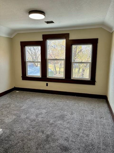 unfurnished room featuring carpet flooring, a textured ceiling, and lofted ceiling