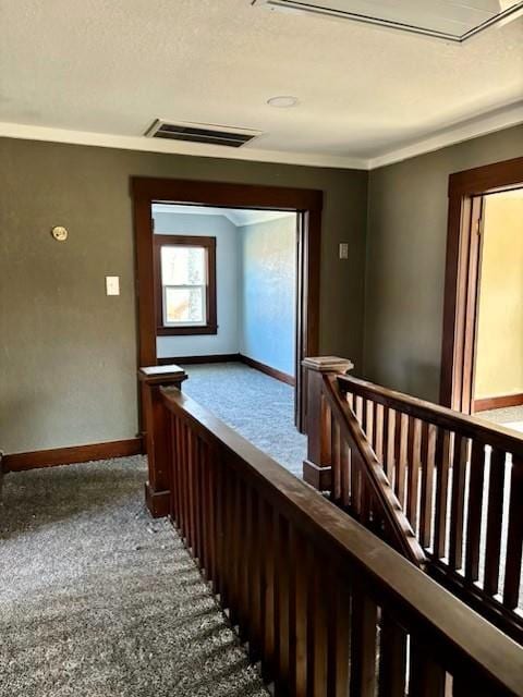 hallway featuring carpet flooring and ornamental molding