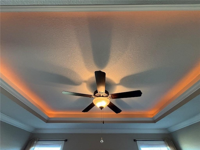 details featuring a tray ceiling, crown molding, and ceiling fan